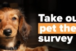 Pet Theft Survey